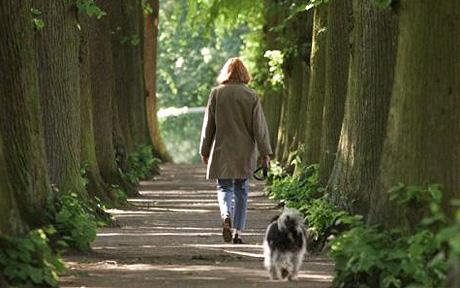 прием психотерапевт, аналитический психолог о прогулках и домашних животных